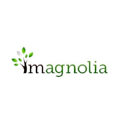 Charlottesville Magnolia Payday Loans