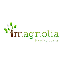 St. Louis Magnolia Payday Loans
